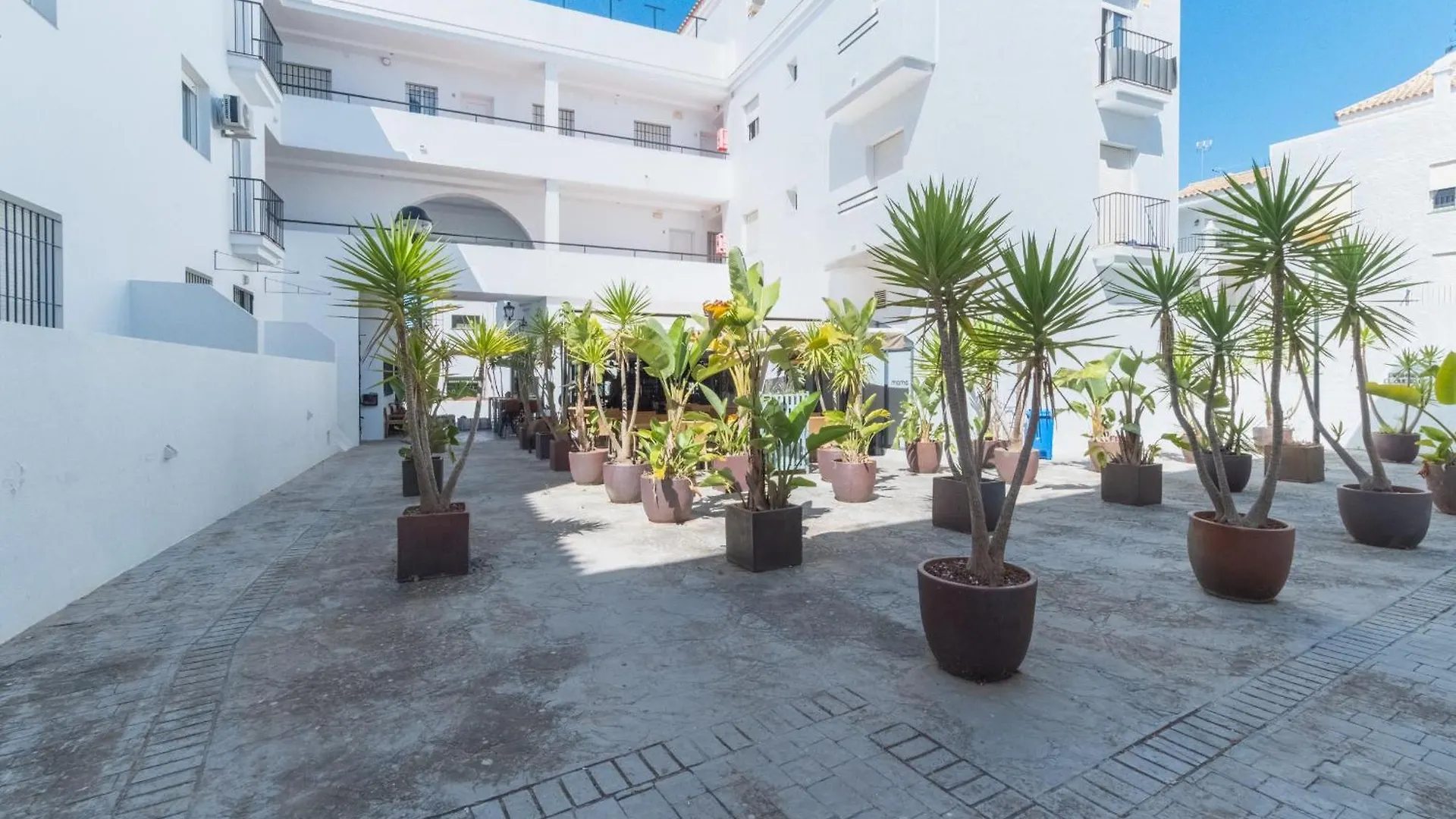Apartamento Alamar Bonito Apartamento A 70 Metros De La Playa Wifi Gratis Conil De La Frontera Apartment